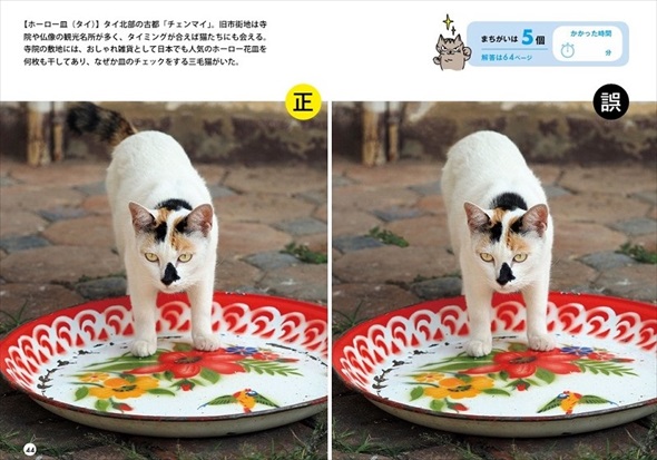 ワル猫まちがい探し