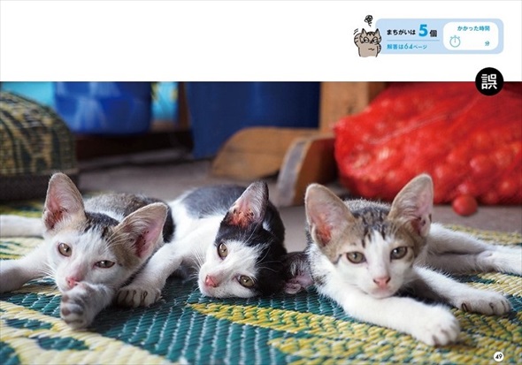 ワル猫まちがい探し