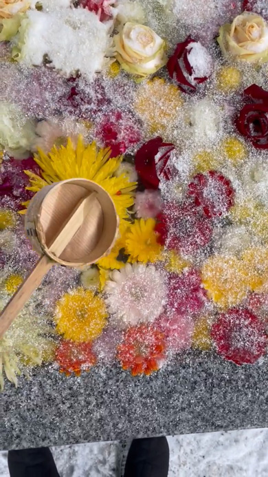 凍った 花手水 水をかける 美しい 花 冬 荘内神社 山形県 鶴岡市 手水舎