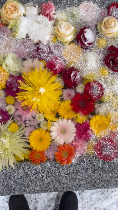 凍った 花手水 水をかける 美しい 花 冬 荘内神社 山形県 鶴岡市 手水舎