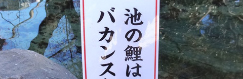 愛宕神社 池 鯉 バカンス 引越し 境内整備工事 恋のバカンス