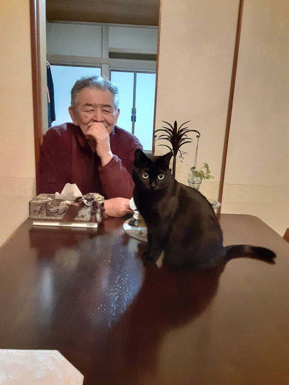 猫用ベッドの使い方を教えるお父さん