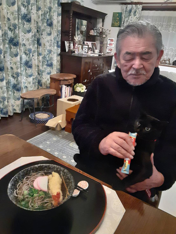 お父さんと猫の年越し