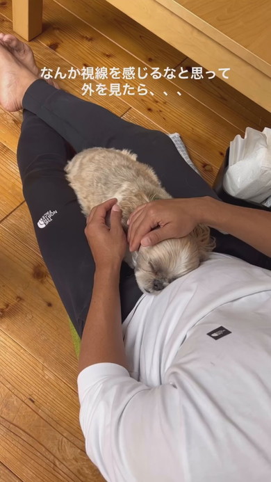 膝の上にワンコを乗せてなでる飼い主