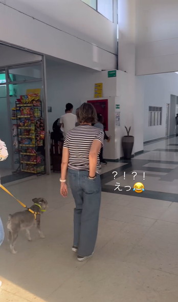 母にサプライズ