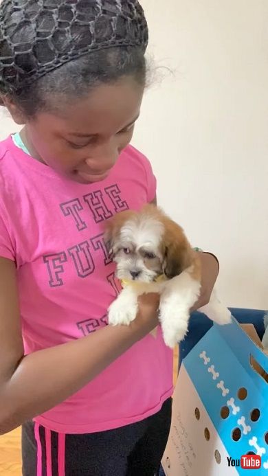 サプライズで娘の誕生日に子犬をプレゼント