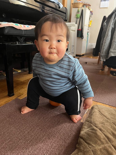 グレープフルーツに座る1歳の息子くん