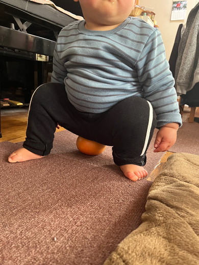 グレープフルーツに座る1歳の息子くん