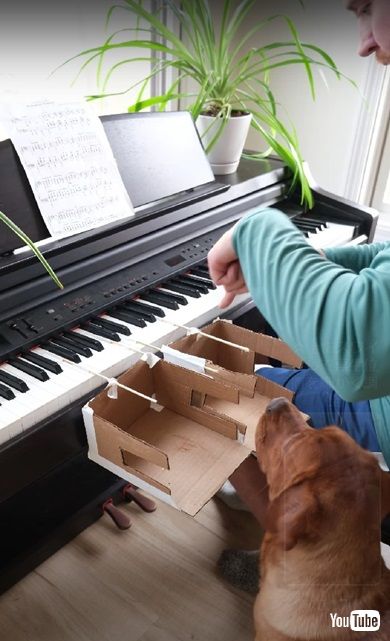 ピアノを弾くワンコ