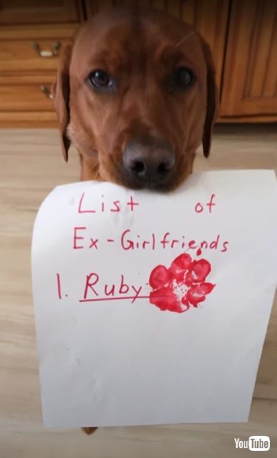 ピアノを弾くワンコ