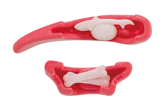 ホホジロザメ解体パズル04