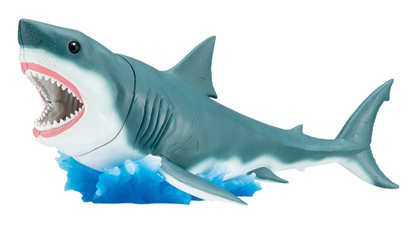 ホホジロザメ解体パズル05