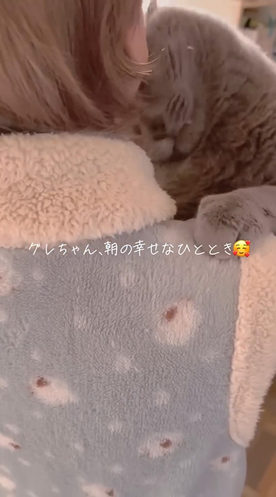 スリスリする猫ちゃん