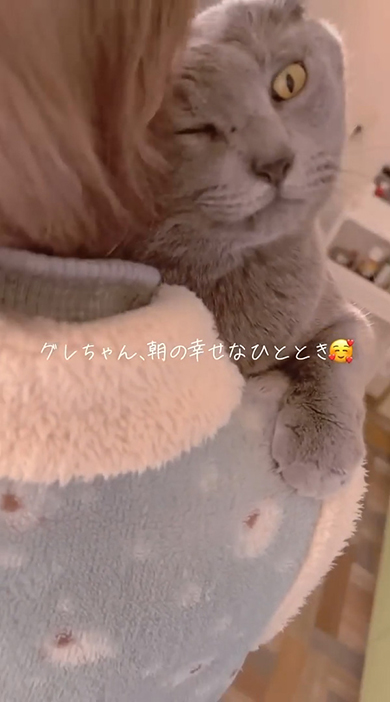 片目を開けてやや右側を見る猫ちゃん