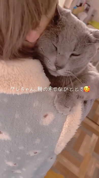 両目を瞑る猫ちゃん