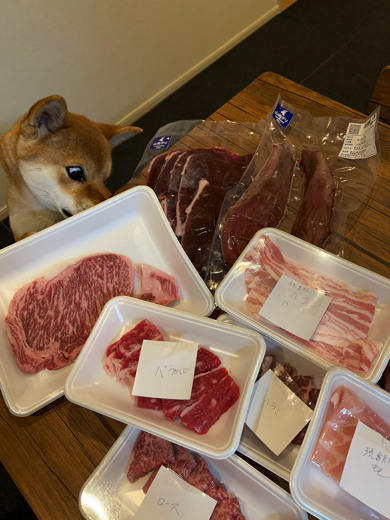 上質な肉を目にして本能が溢れ出てしまったワンコ