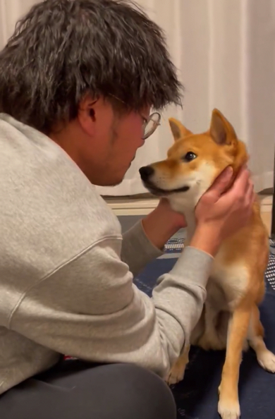 コーギー派から柴犬派になったパパさん