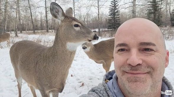 朗読を聞くシカ