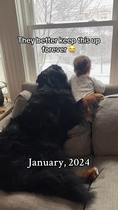 仲良く外を見ながらワンコと一緒に育ってきた赤ちゃん