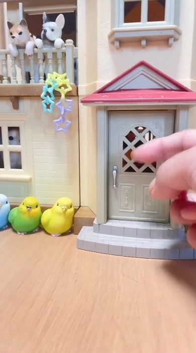 居留守をするインコ