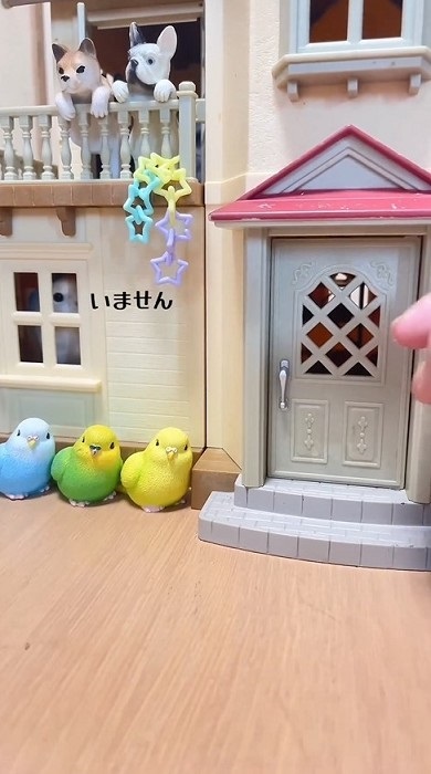 居留守をするインコ