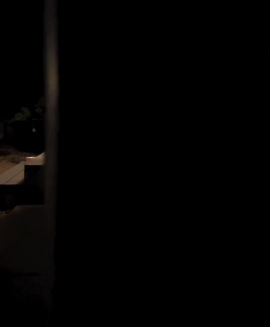 壁から出たり隠れたりする飼い主