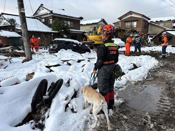 待機するワンコ