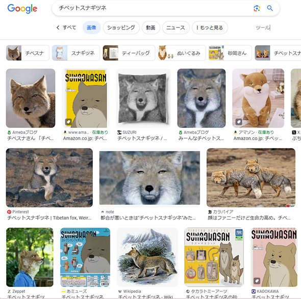 チベットスナギツネ検索結果