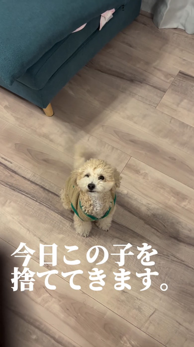 動物を捨てる人を再現した啓発動画のワンコ