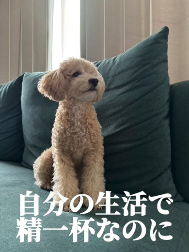 動物を捨てる人を再現した啓発動画のワンコ