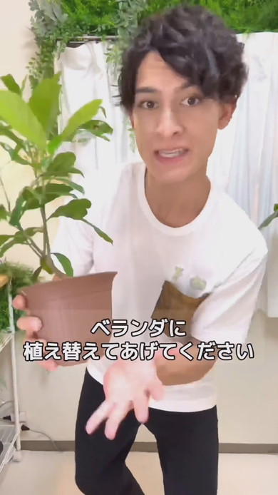 レモンの鉢植えを持つ男性