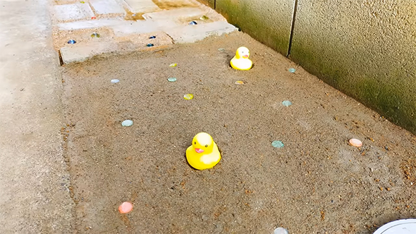 地面に置かれたアヒル