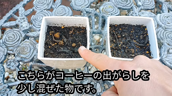 左の鉢を指さす