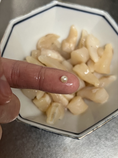 アコヤガイ　真珠