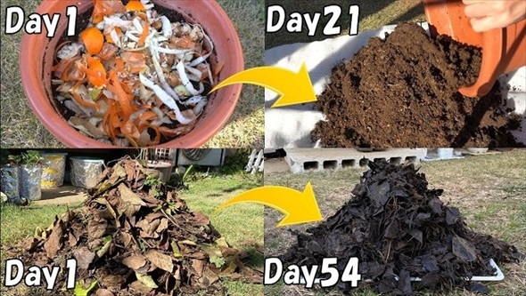 生ごみを植えて栄養たっぷりな土へ