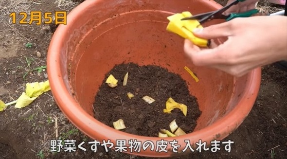 生ゴミ