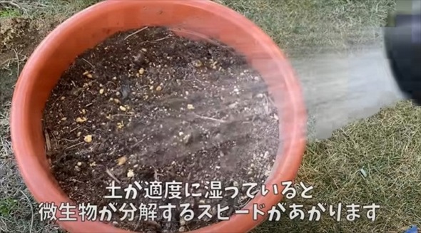 生ごみを植えて栄養たっぷりな土へ