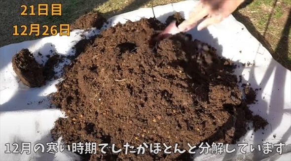 生ごみを植えて栄養たっぷりな土へ