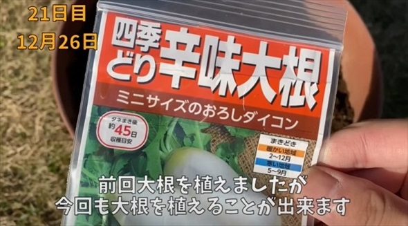 生ごみを植えて栄養たっぷりな土へ