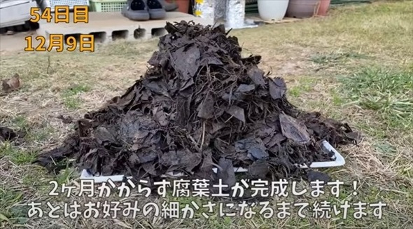 生ごみを植えて栄養たっぷりな土へ