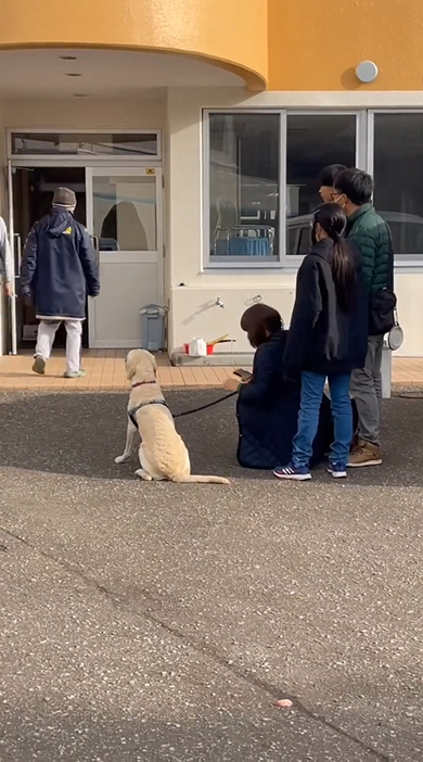 建物を見つめる一家
