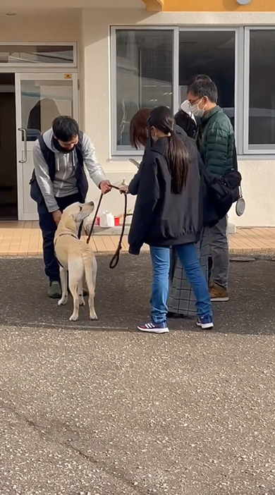 リードを手渡す