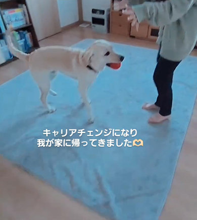 ボールをくわえて青いマットの上にいるワンコ