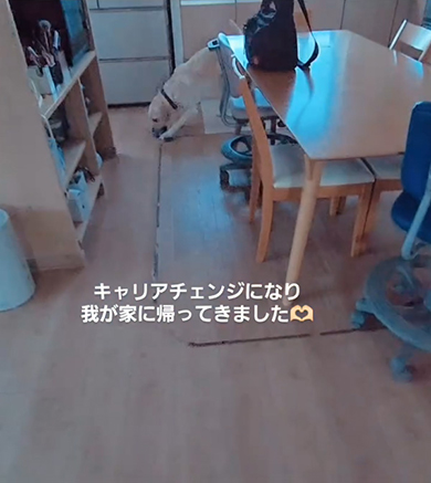 テーブルの向こうにいるワンコ