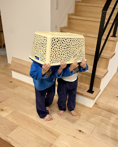 バスケットをかぶる幼い兄弟