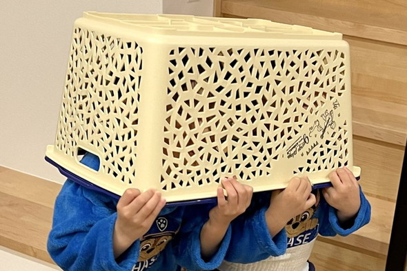 バスケットをかぶる幼い兄弟