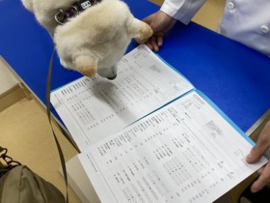 動物病院へ行ったワンコ