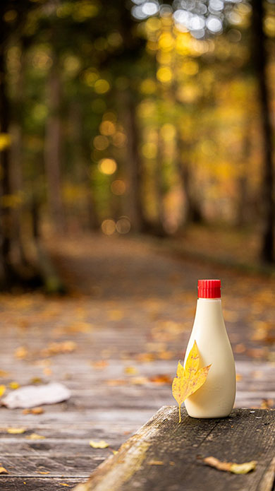 紅葉とマヨネーズ