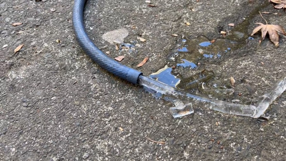 凍った ホース 棒状 氷 出てくる 最強寒波 高尾山 東京