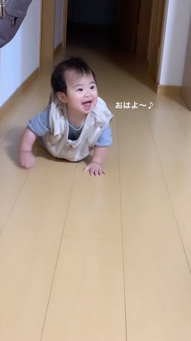 ハイハイをしている赤ちゃん